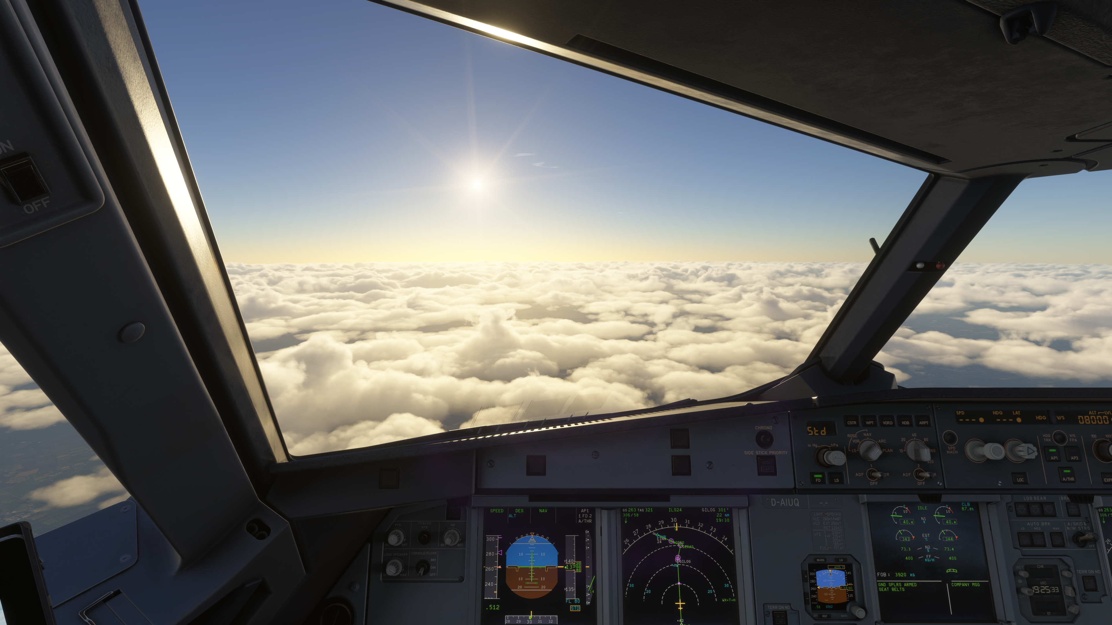 Airbus A320 Grundlagenkurs